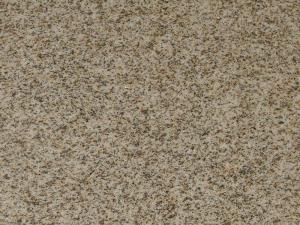 Own Quarry-G350 Fine Grained Granite