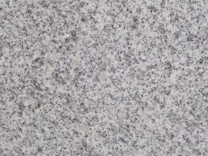Own Quarry-Laizhou White Granite, G303 Granite of Laizhou Bestone Stone Company.