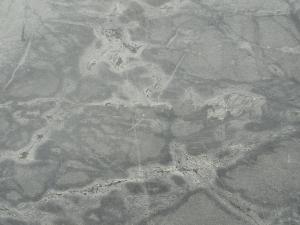 Galaxy Grey