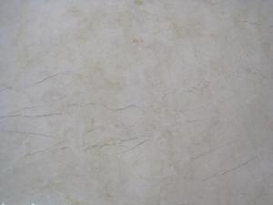 Shayan Beige